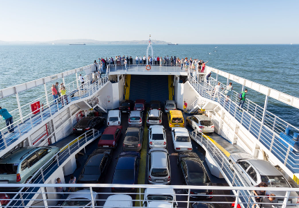En Puerto de Lirquén se detecta embarque de vehículos contaminados con plagas